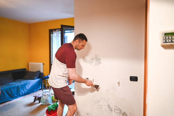Best Commercial Mold Remediation in Palmyra, IN
